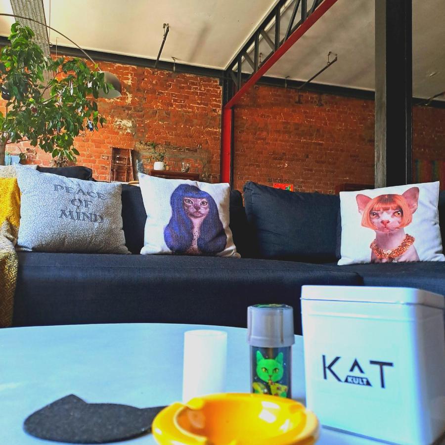 Pet-Friendly City Loft Apartment Kaapstad Buitenkant foto