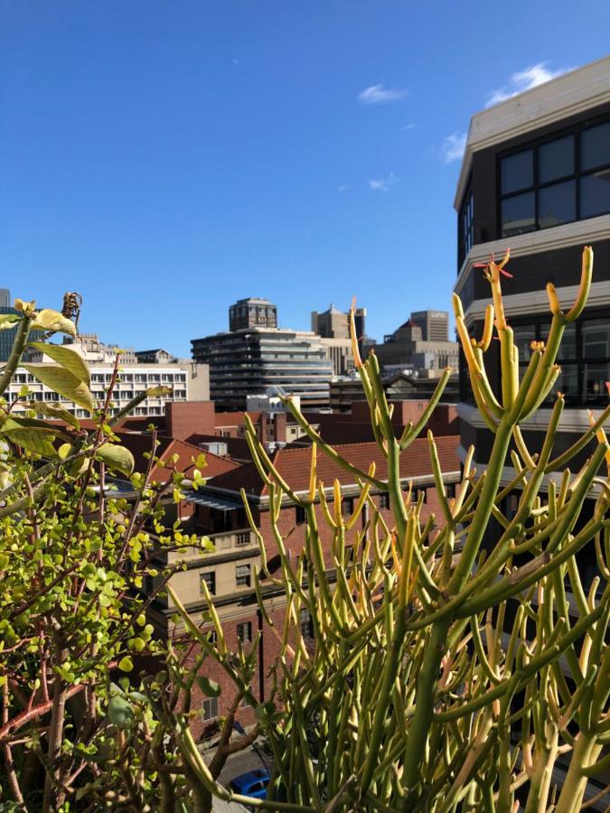 Pet-Friendly City Loft Apartment Kaapstad Buitenkant foto